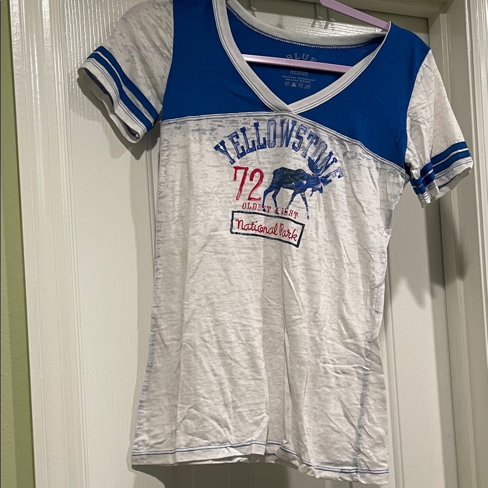 Blue and White Kids Yellowstone Graphic Tee